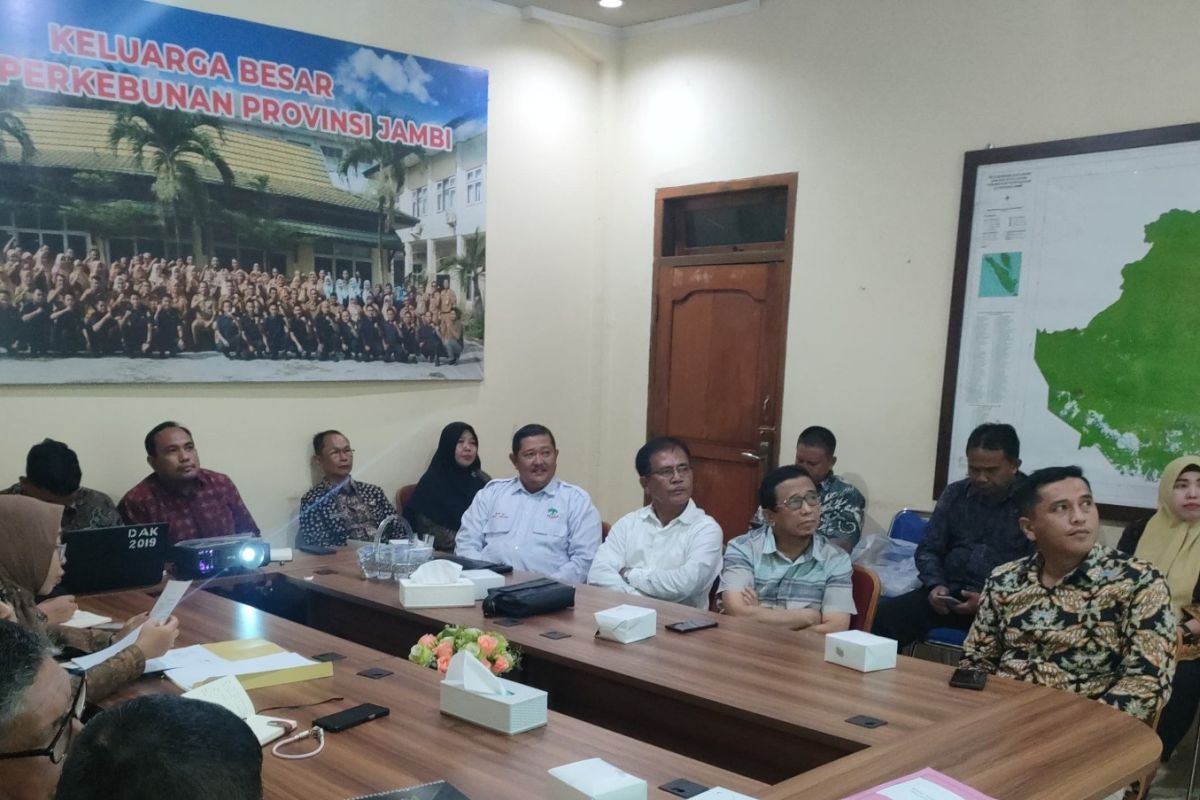 Harga TBS kelapa sawit di Jambi usia tanam naik tipis