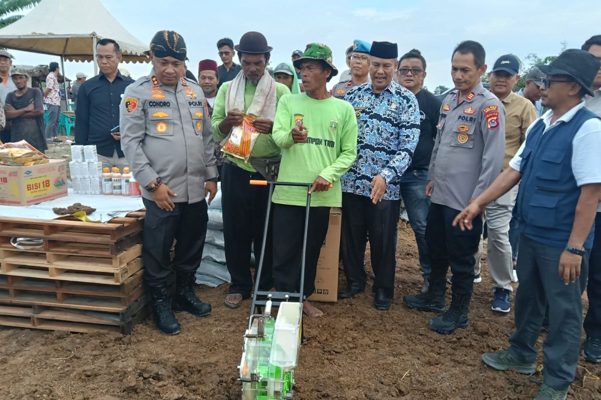 Jaga ketahanan pangan, polisi dan petani di Serang kembali tanam jagung