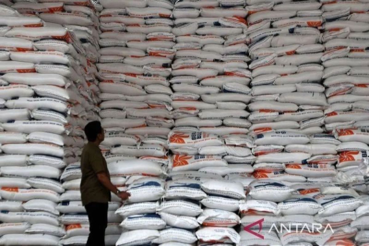 Mentan Andi Amran sebut Jepang krisis, Indonesia kokoh dengan produksi beras
