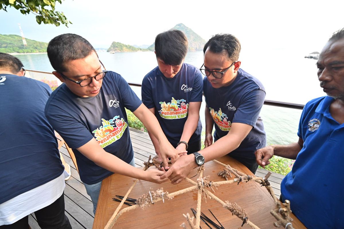 ASDP tanam media terumbu larang di perairan Labuan Bajo