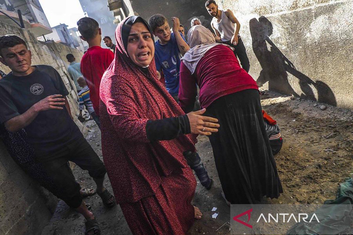 Kemenkes Gaza: Angka kelahiran anjlok 40 persen selama setahun perang