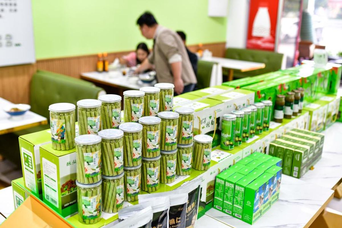 Industri Matcha China Tingkatkan Pendapatan dan Bangkitkan Budaya