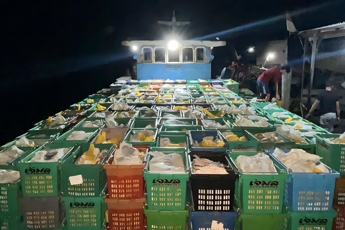 Bea Cukai Tembilahan gagalkan penyelundupan 15 ton mangga ilegal