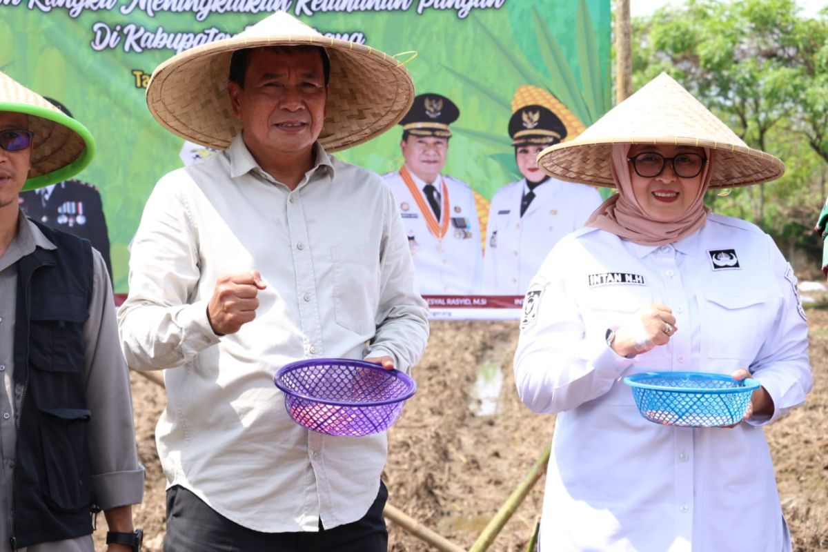 Pemda Tangerang dan Polri gelar gerakan tanam jagung hibrida