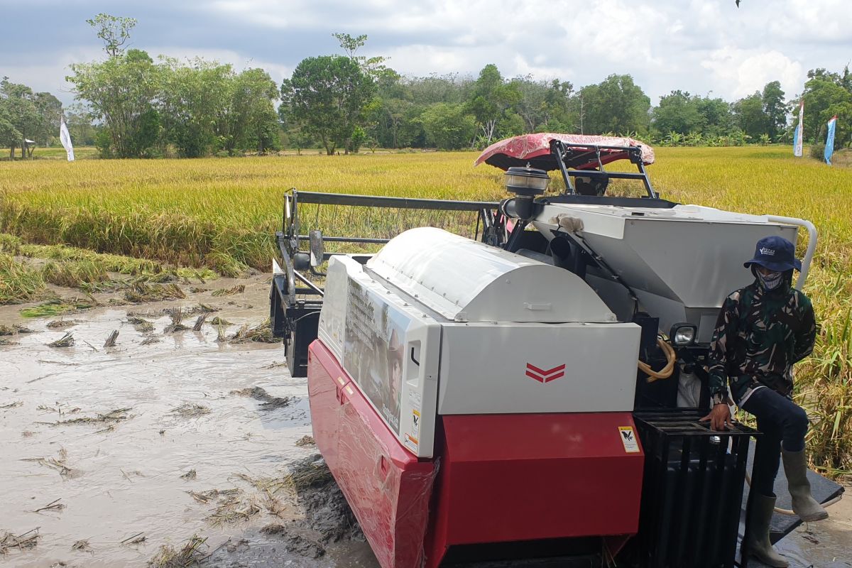 Dintan TPH Sumsel antisipasi penurunan produksi padi musim kemarau