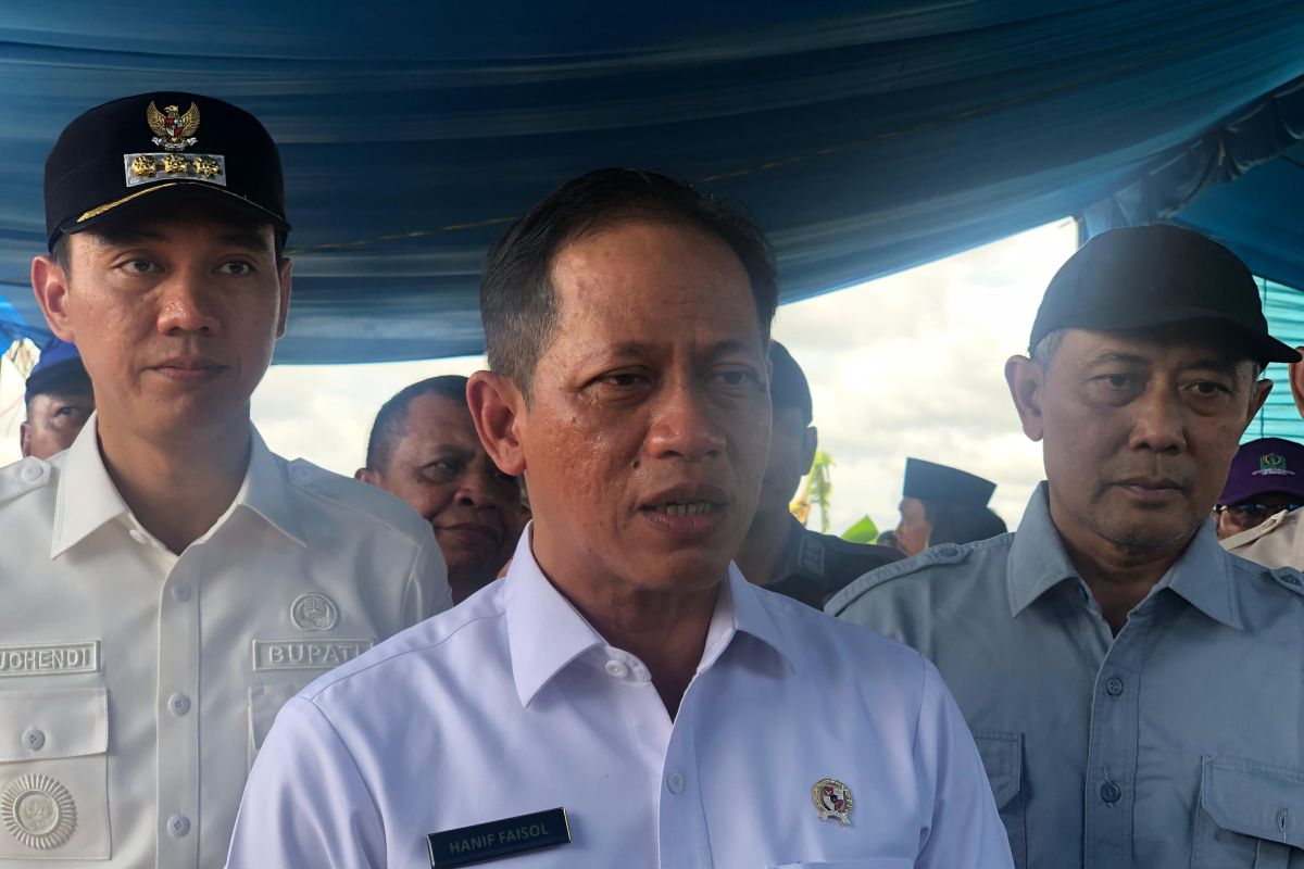 Pushing electric vehicle use to ease pollution, minister says