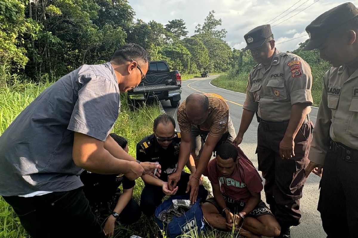Bea Cukai dan Polisi gagalkan penyelundupan 68 paket ganja dari PNG