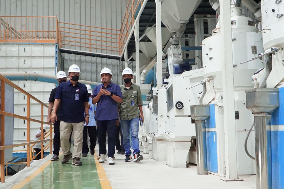 Perkuat ketahanan pangan, serapan beras Bulog Jatim tembus 500 ribu ton