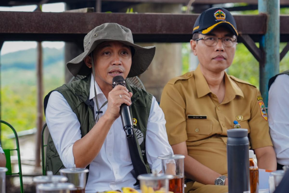 Menhut dan Mendag koordinasikan kebijakan impor minyak kayu putih