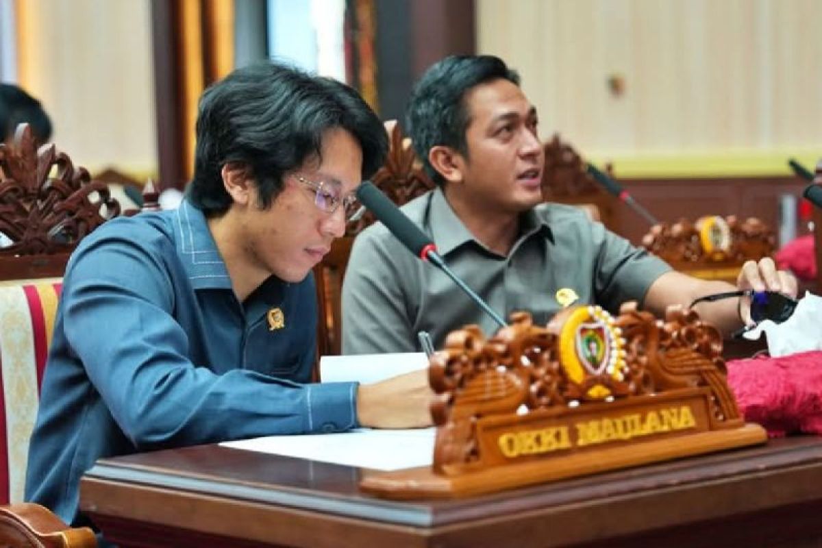 DPRD Kalteng minta optimalkan energi baru terbarukan