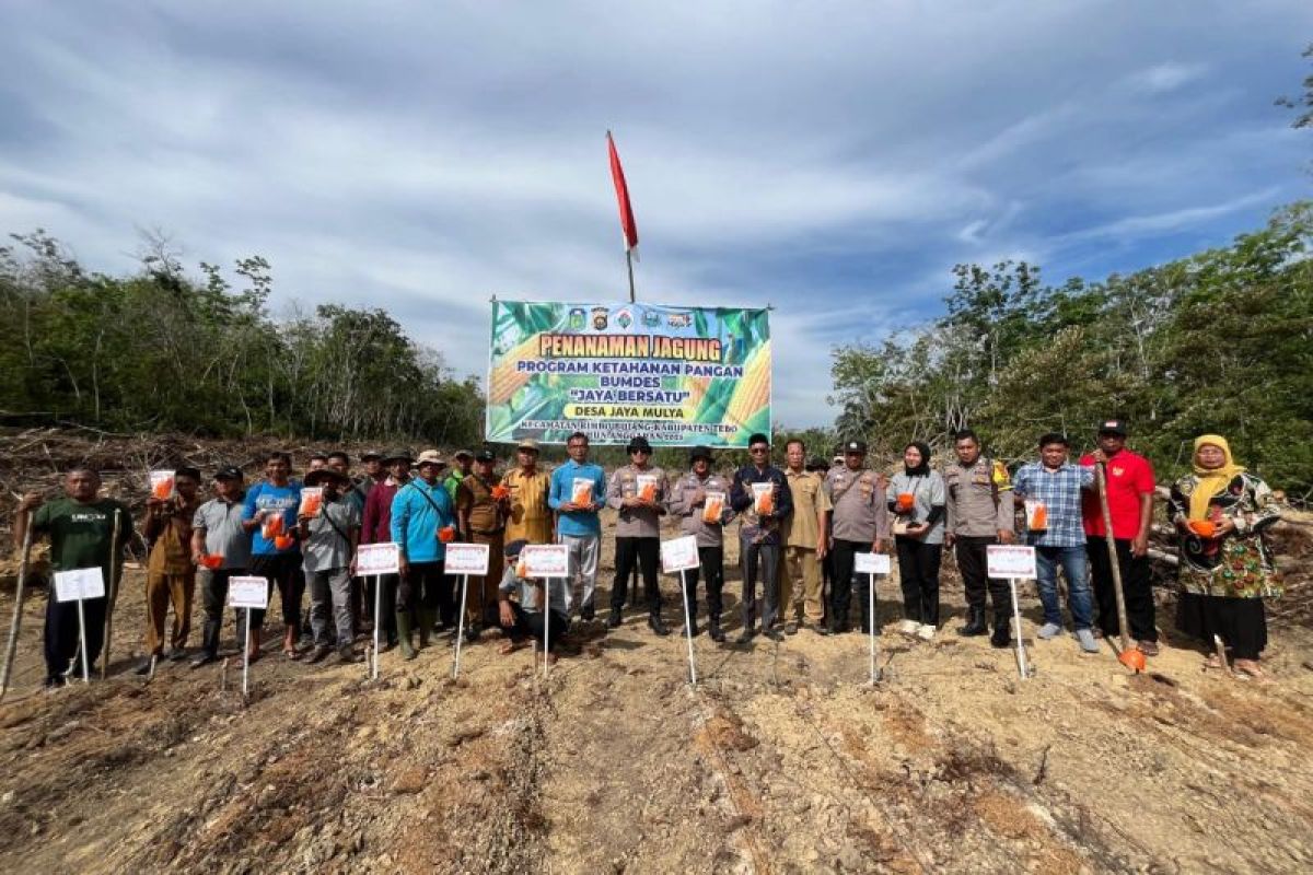 Polsek Rimbo Bujang tanam jagung dukung program ketahanan pangan