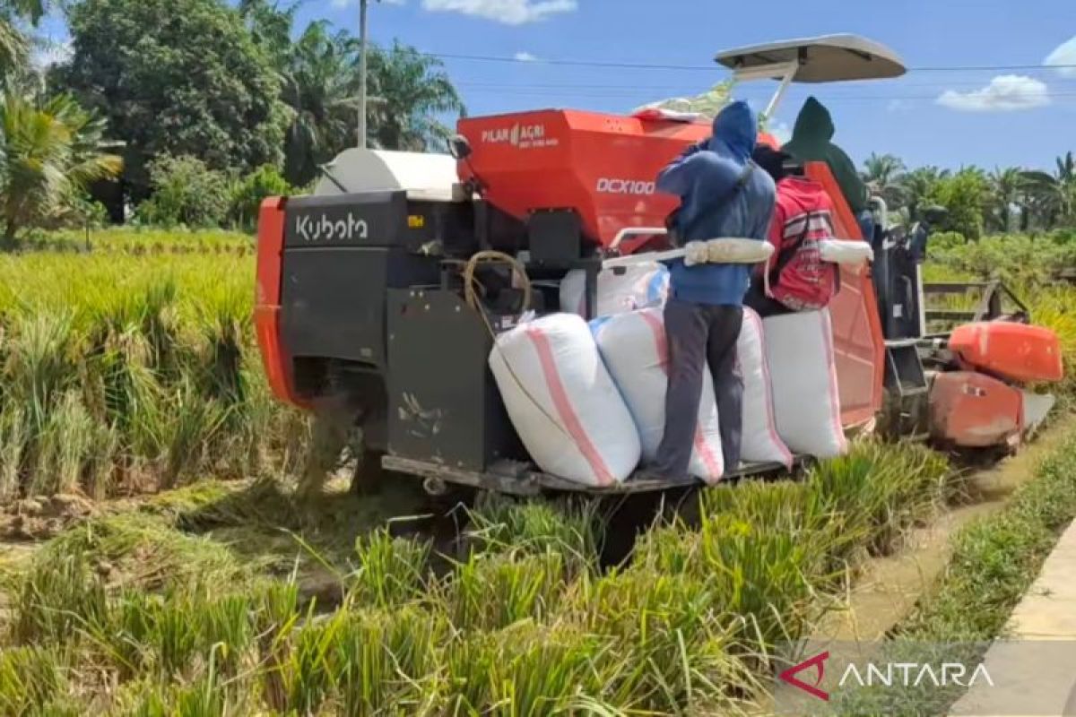 Mukomuko optimasi 890 ha lahan sawah pada 2025