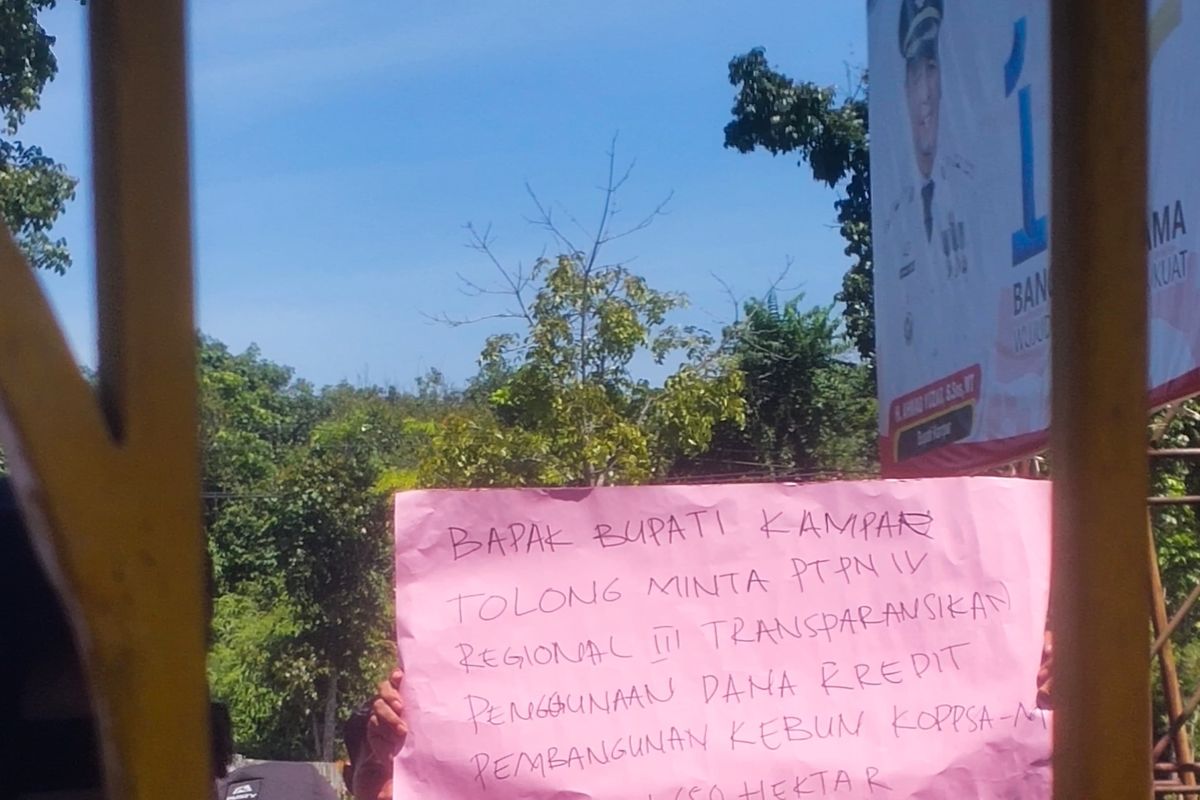 Berikut Fakta-Fakta Persidangan Dugaan Wanprestasi Koppsa-M