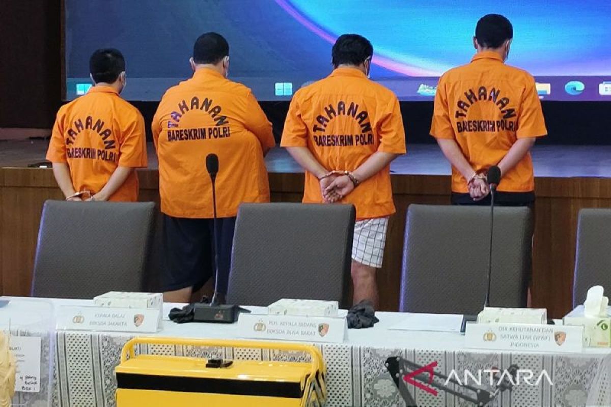 Bareskrim Polri tangkap sindikat penjual gading gajah ilegal