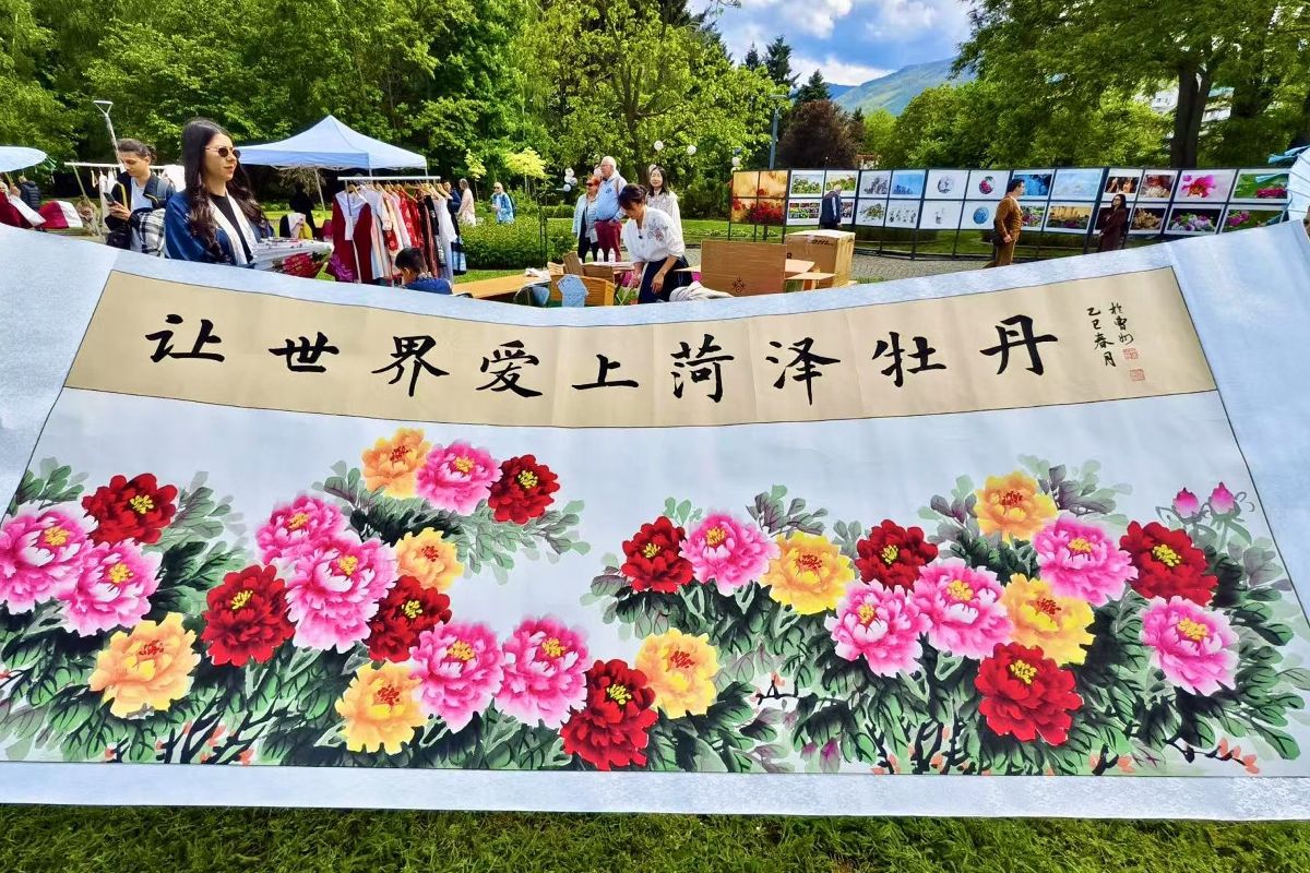 Peony Blossom Celebration: A Springtime Cultural Gathering Enchants Bulgaria
