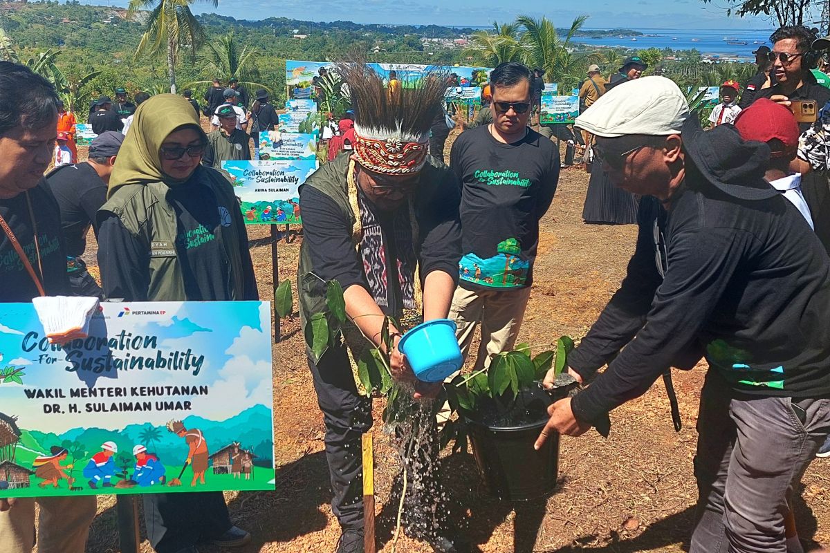 Wamen Kehutanan sebut aksi tanam 110 ribu pohon di Sorong wujud jaga alam