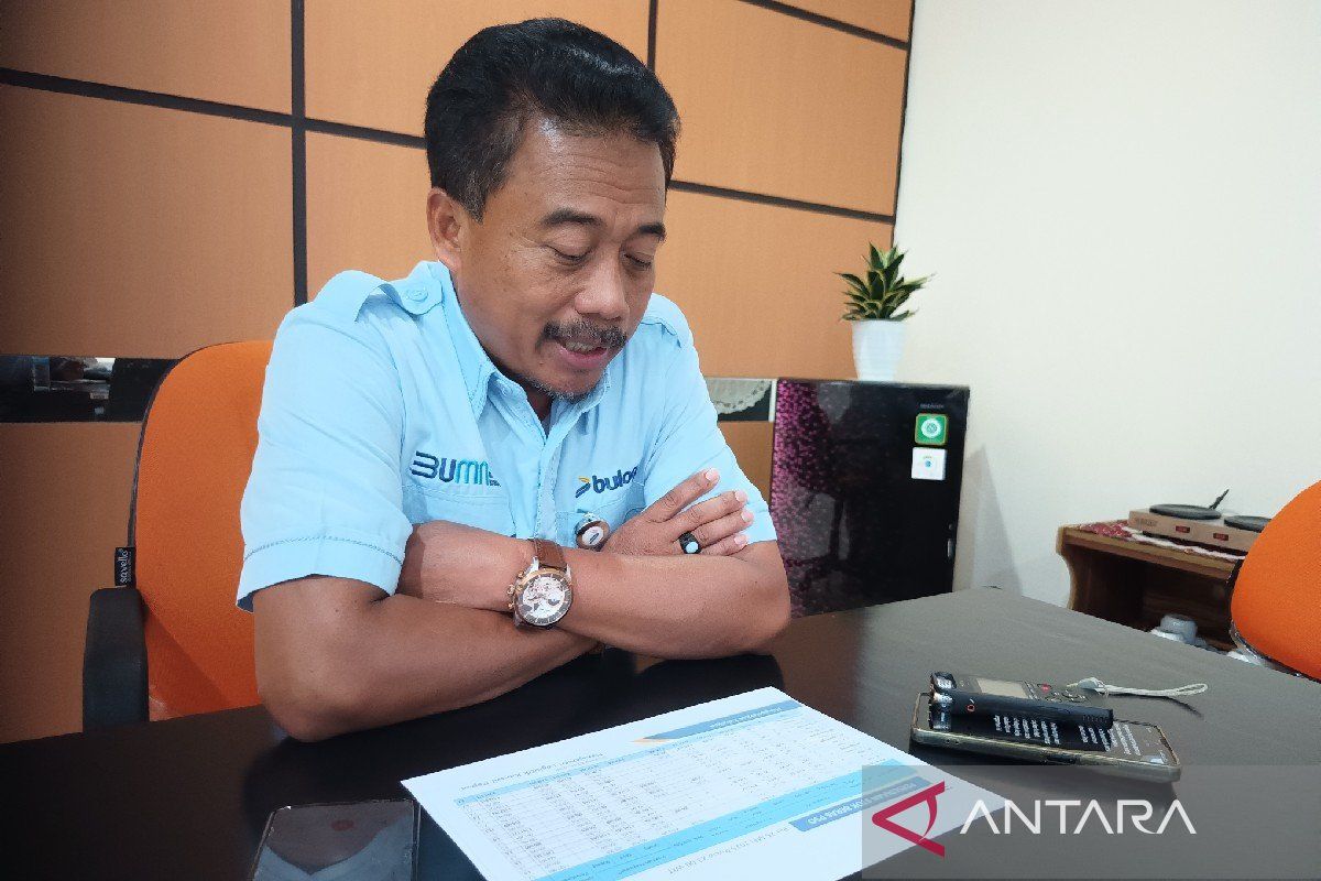 Empat kabupaten di Papua Selatan tak dapat pasokan beras Bulog
