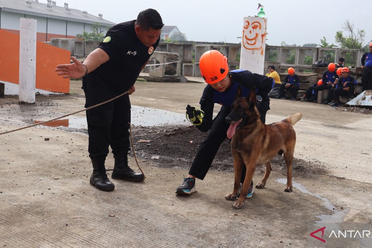 Basarnas debuts trained K9 rescue team