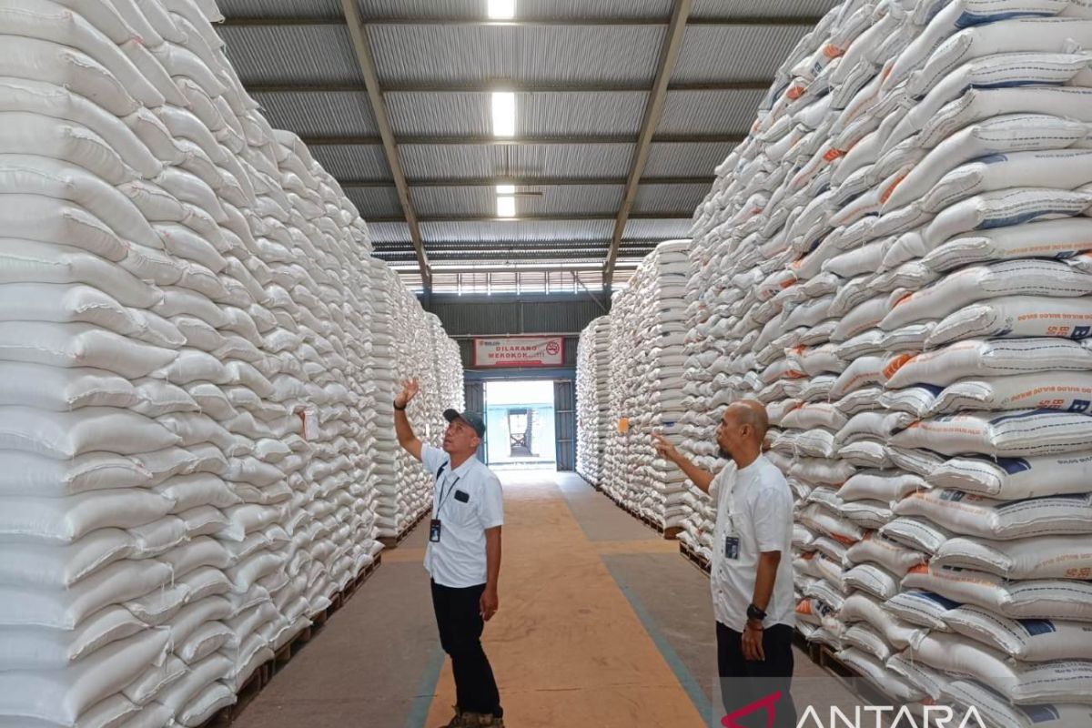 Stok beras NTB aman hingga musim panen padi tahun depan