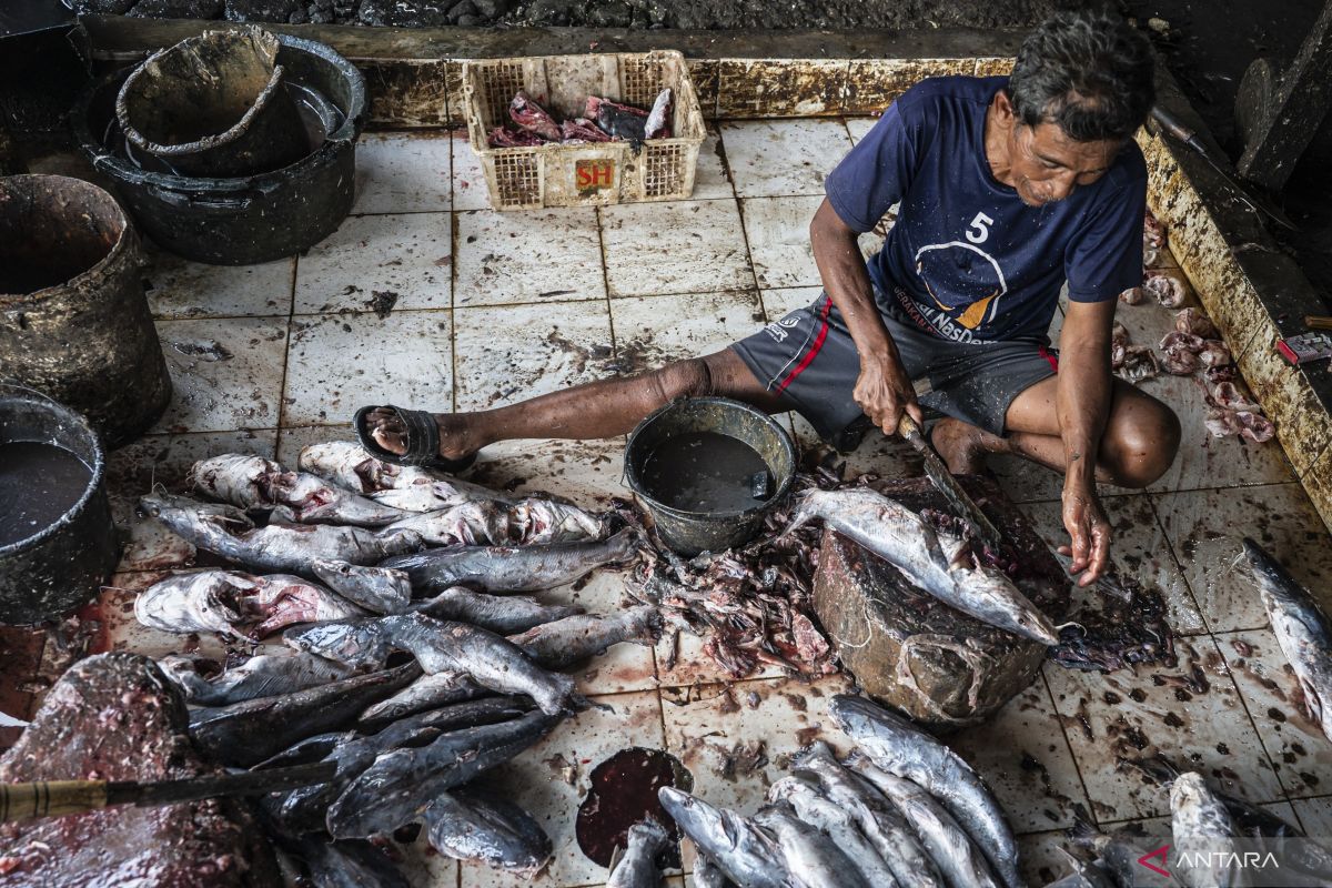 Mangut, kuliner tradisional dari pesisir Jawa