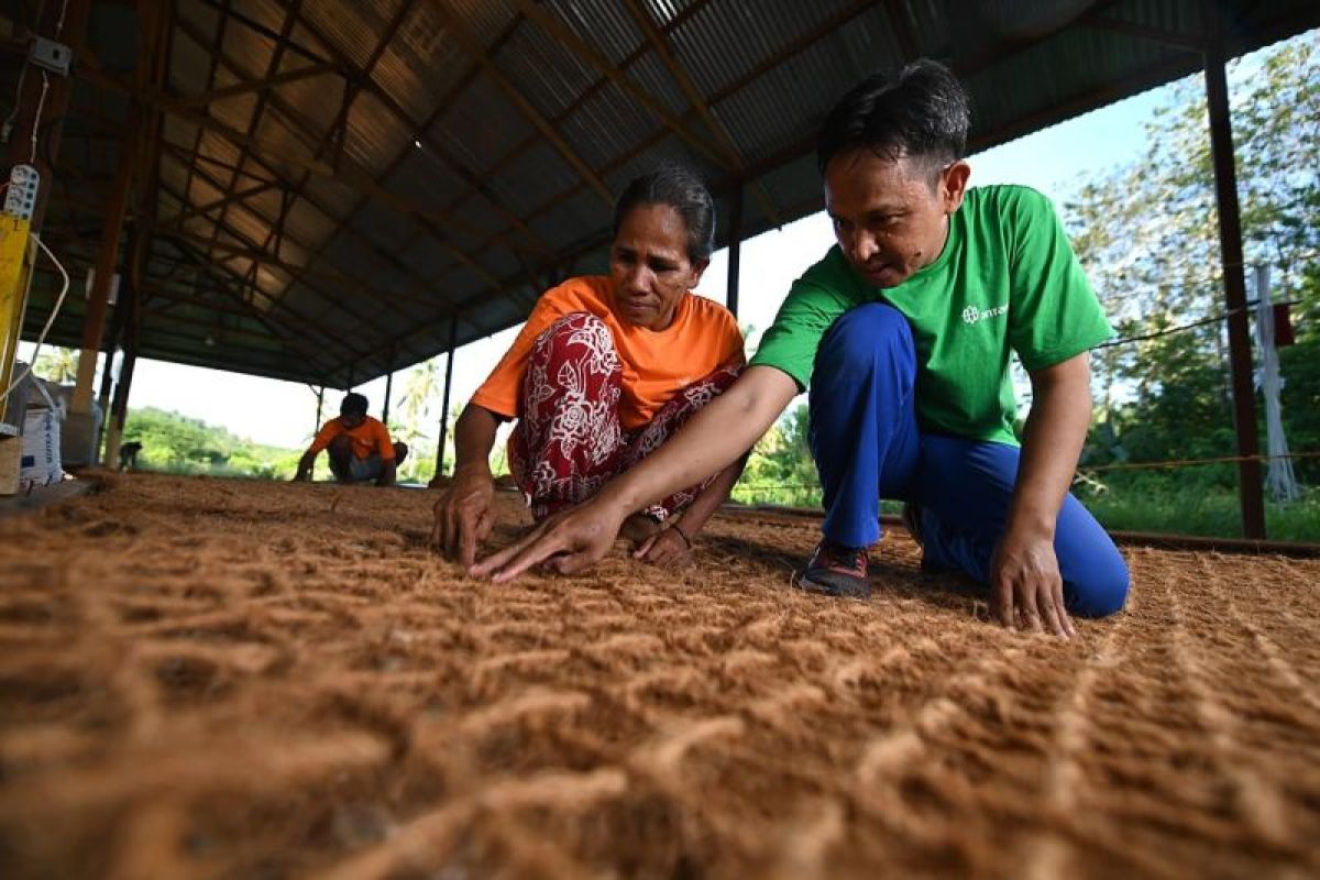 Antam perkuat ekonomi hijau lewat pemanfaatan limbah kelapa