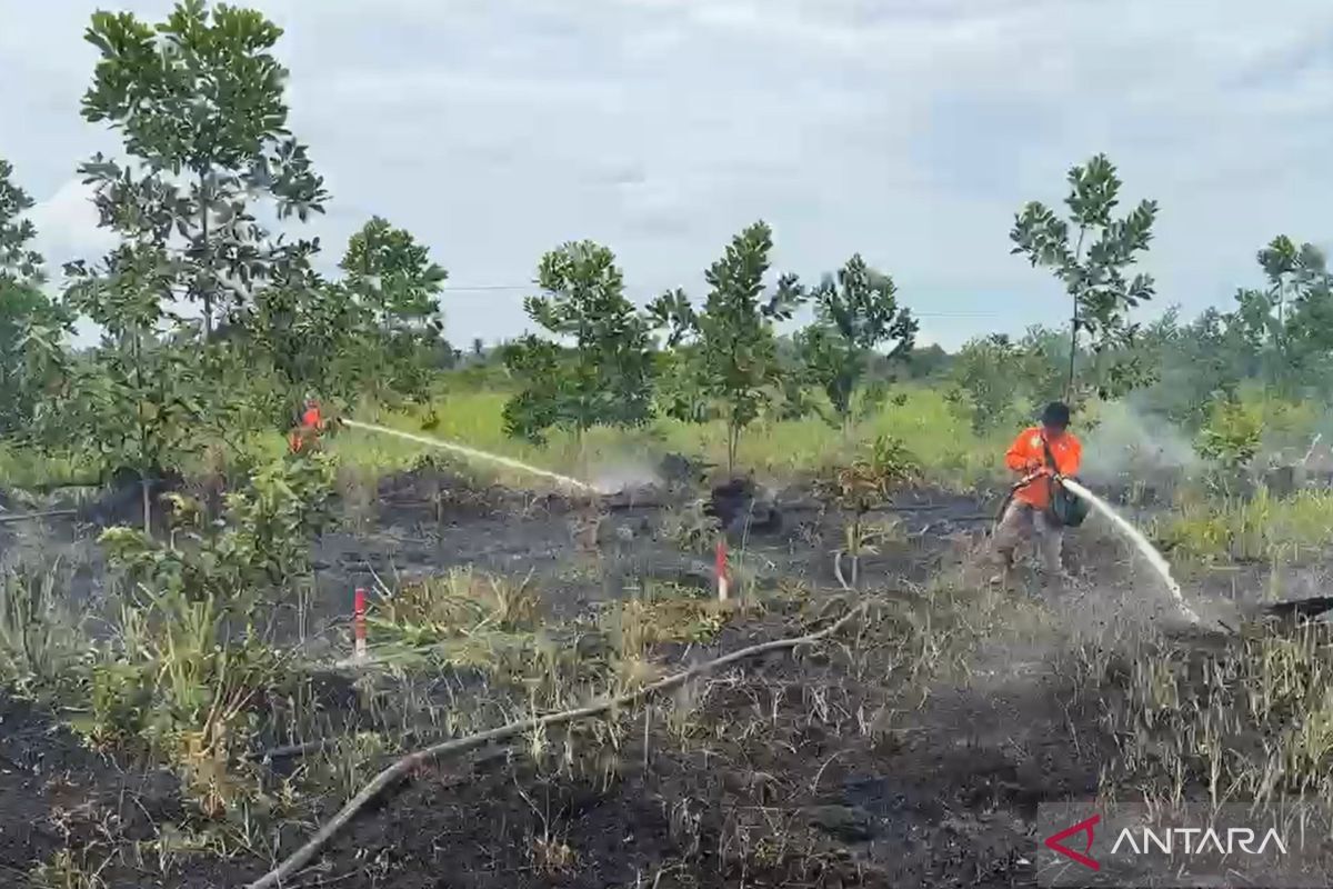 BPBD Kalbar menetapkan status siaga darurat karhutla
