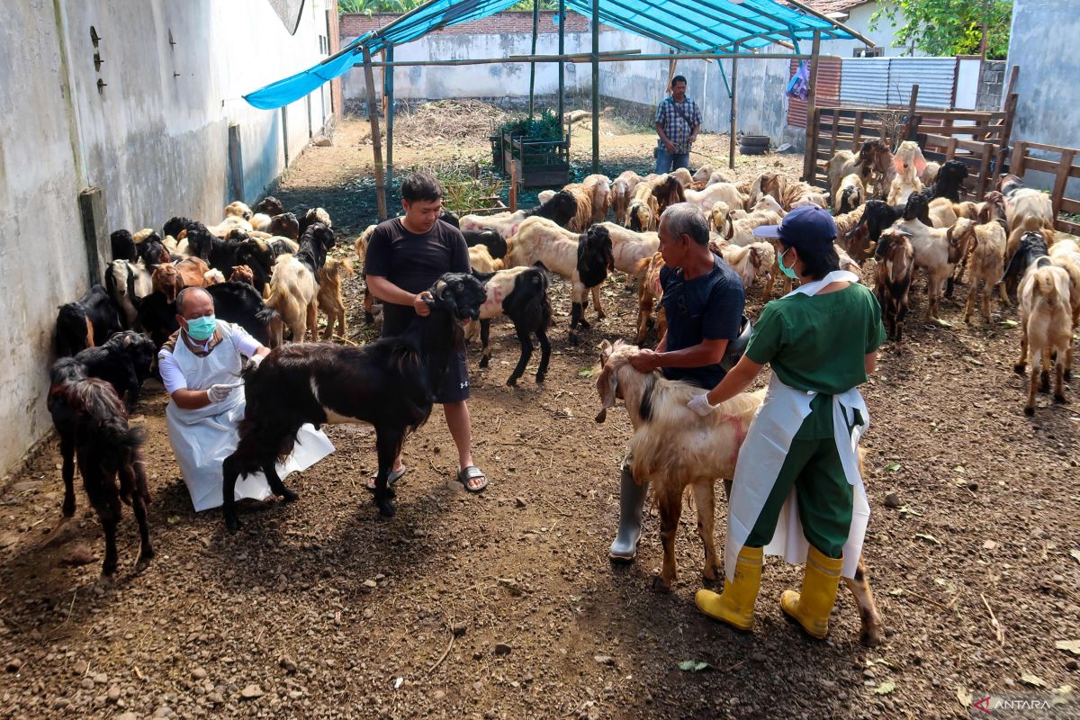 Pemprov Lampung minta juru sembelih halal pantau penyembelihan kurban