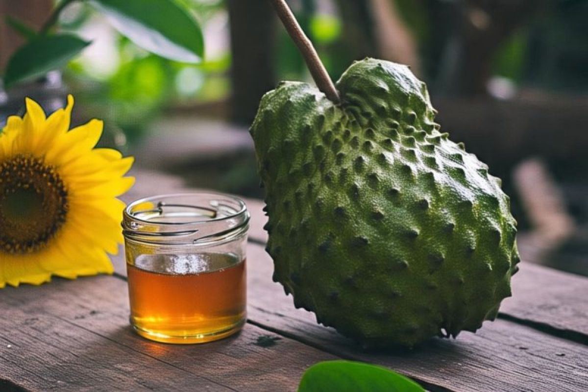 9 Fakta menarik resep Sirsak dan Madu untuk terapi kanker yang terbukti ilmiah