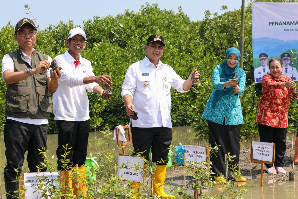 Taj Yasin bersama warga  tanam 1.000 mangrove cegah rob di Sayung