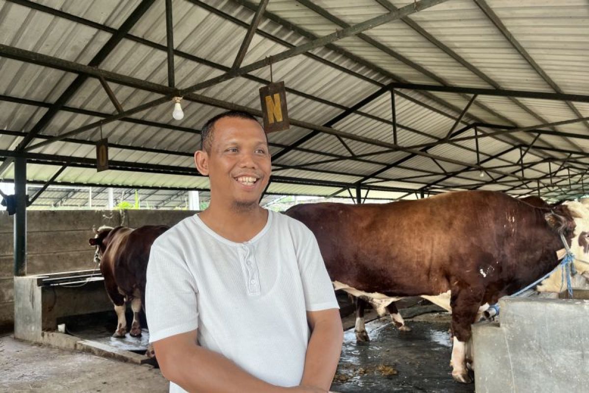 Peternakan BBS cerita progres bisnis hingga asetnya puluhan miliar