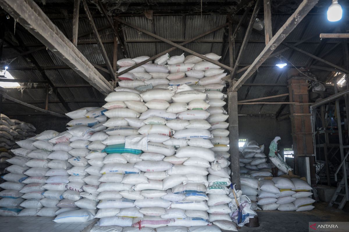 Cegah oplosan, DKP Kota Tangerang siapkan uji sampel beras di pasar