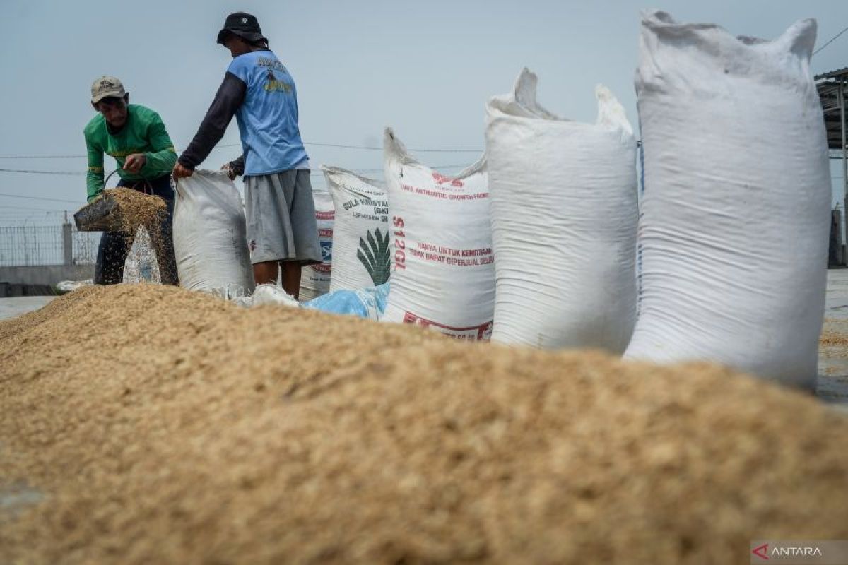 Indonesia to export 2,000 tons rice to Malaysia in B2B deal