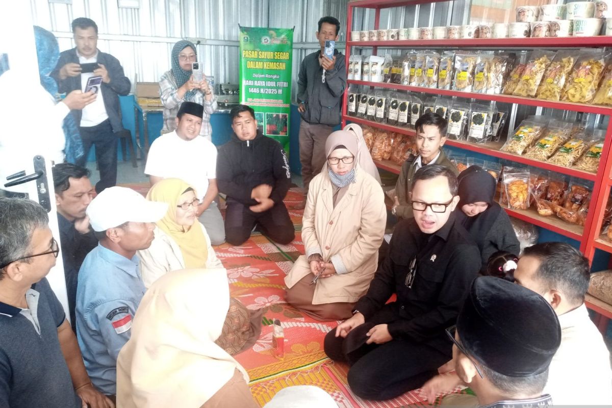 Kabupaten Solok miliki potensi besar dorong pertumbuhan ekonomi