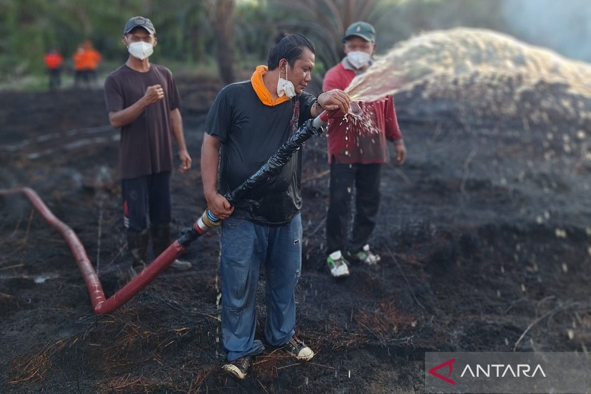 KLHK turunkan tim bantu padamkan kebakaran lahan di Mukomuko