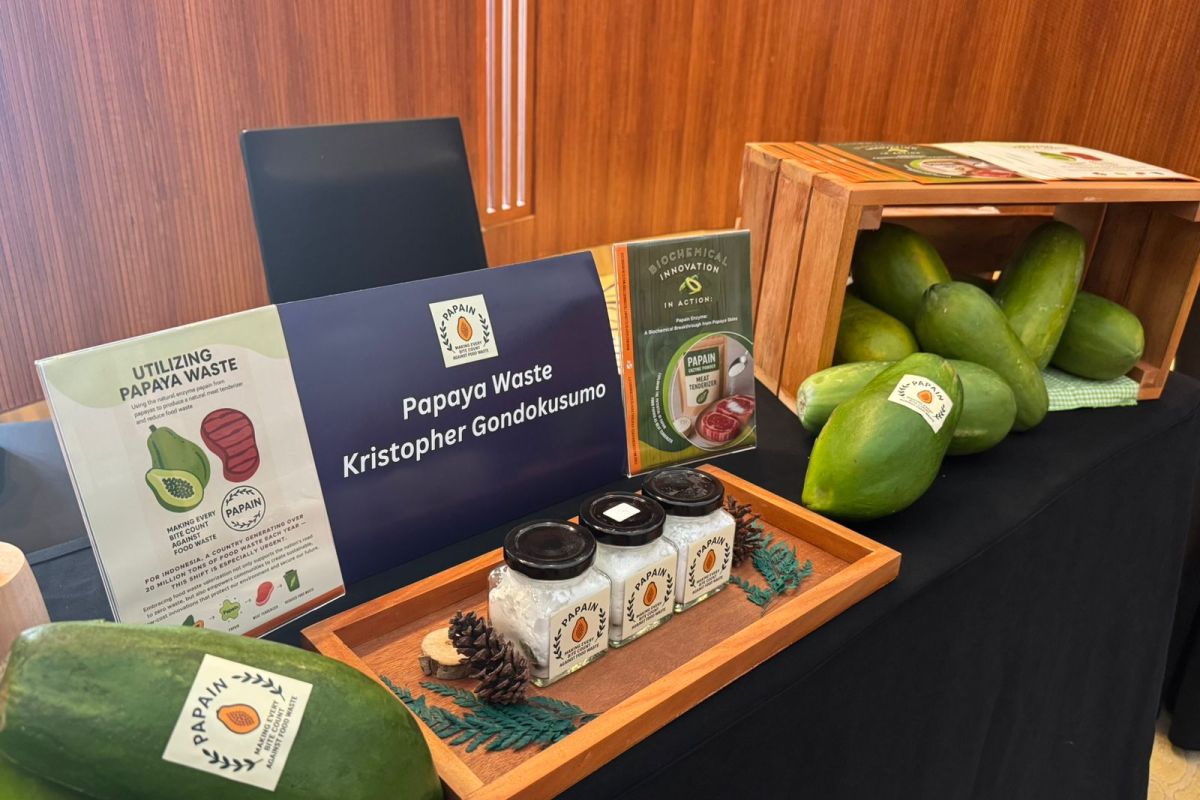 Papain Enzyme as a Sustainable Meat Tenderizer and Food Waste Solution
