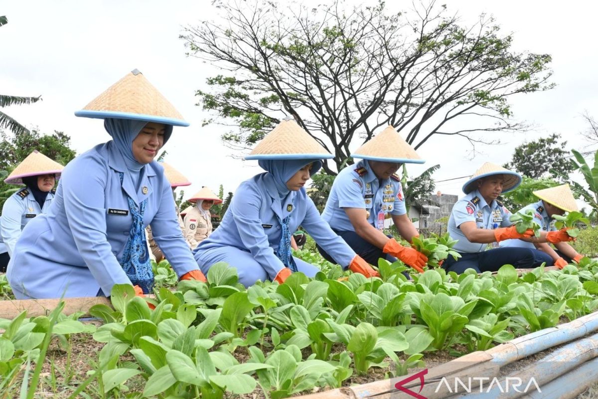 Jajaran Lanud Husein Sastranegara produksi sayur berkualitas untuk MBG