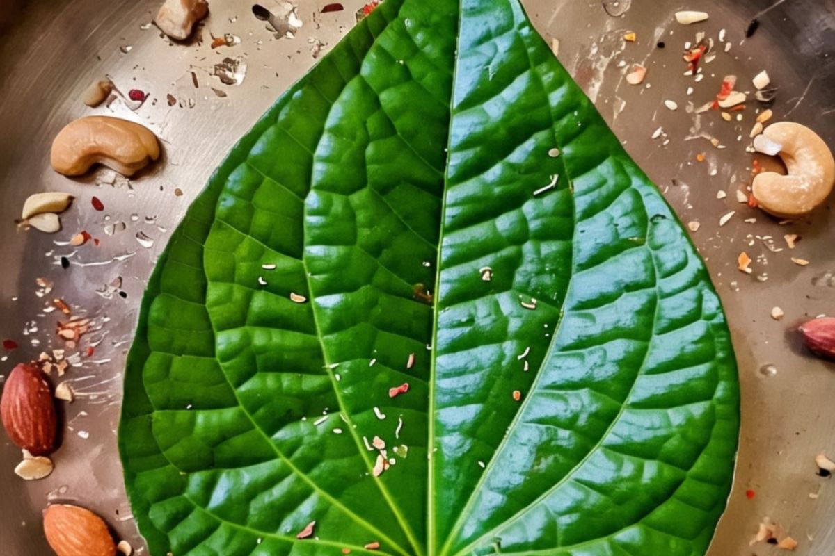 4 Fakta mengejutkan manfaat daun sirih untuk infeksi mata
