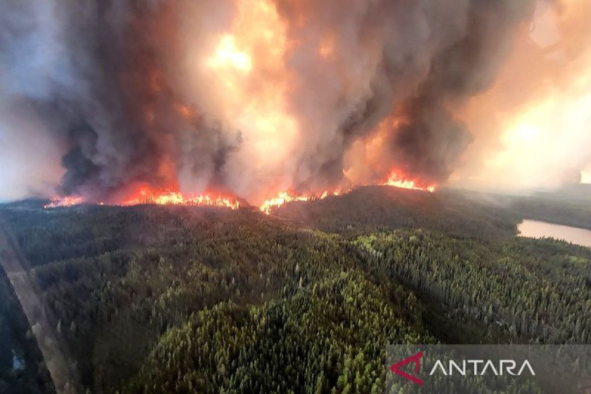 Lebih dari 26.000 warga dievakuasi akibat kebakaran hutan di Kanada