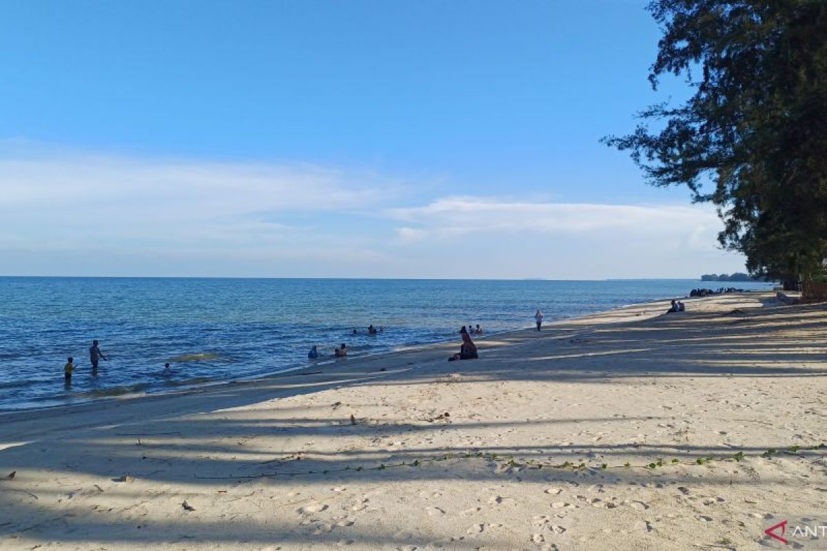 BPS catat kunjungan wisman ke Kepri Januari-April 2025 terbanyak sejak 2020