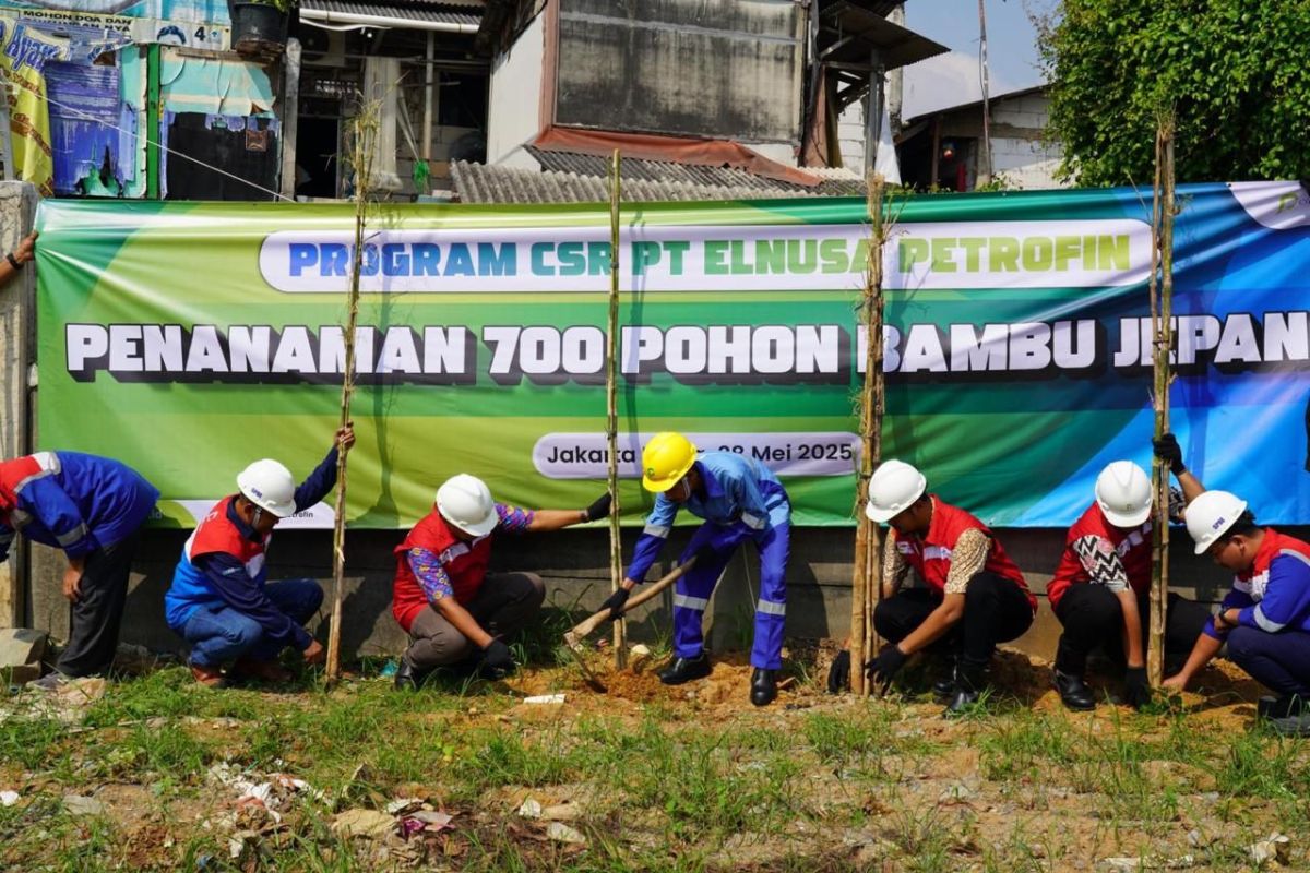 Peringati Hari Lingkungan Hidup Sedunia, PT Elnusa Petrofin hijaukan jalur distribusi energi melalui penanaman 9.292 pohon