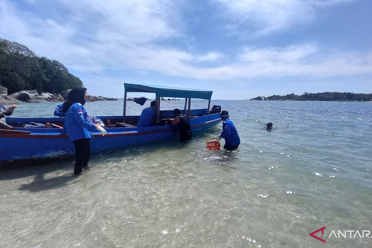 Jumlah wisatawan menginap di hotel bintang Babel naik 57,26 persen