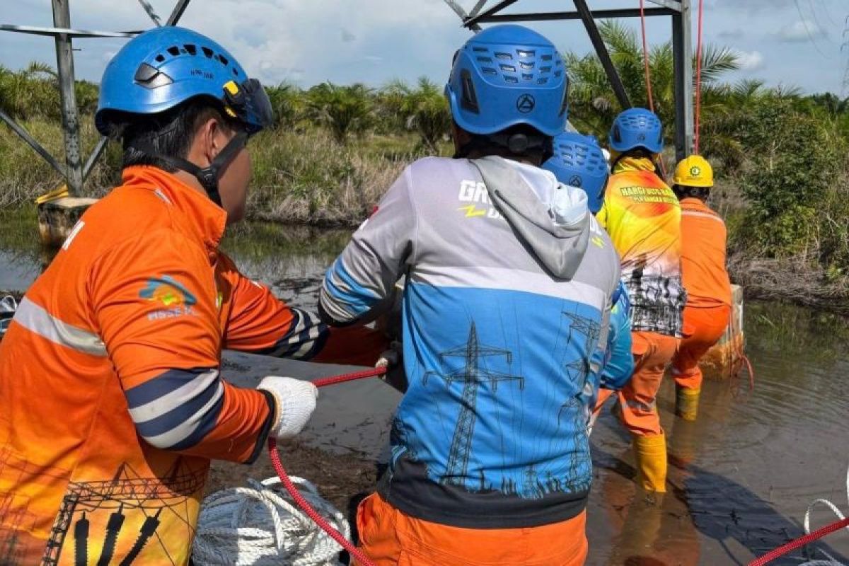 PLN Babel jaga keandalan pasokan listrik melalui kegiatan Care for Asset jelang Idul Adha