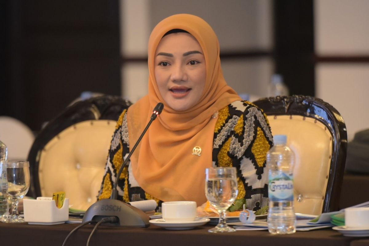 Anggota DPR usul realokasi  anggaran pendidikan guna respons putusan MK