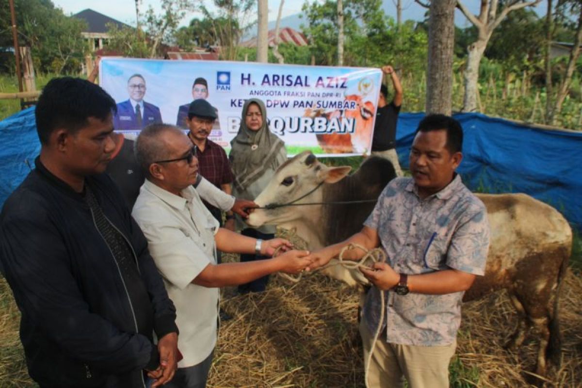 Legislator RI Arisal Azis sumbang 40 sapi kurban di Sumatera Barat