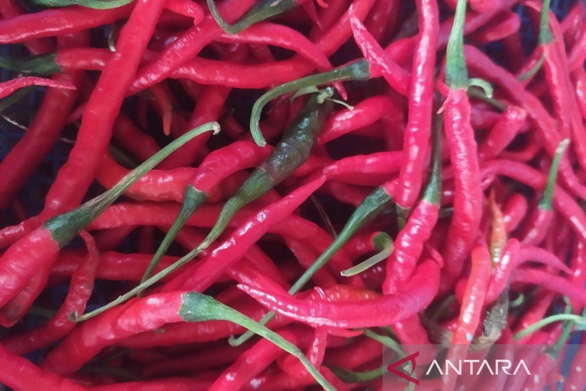 Harga cabai merah penyebab utama deflasi Aceh di bulan Mei