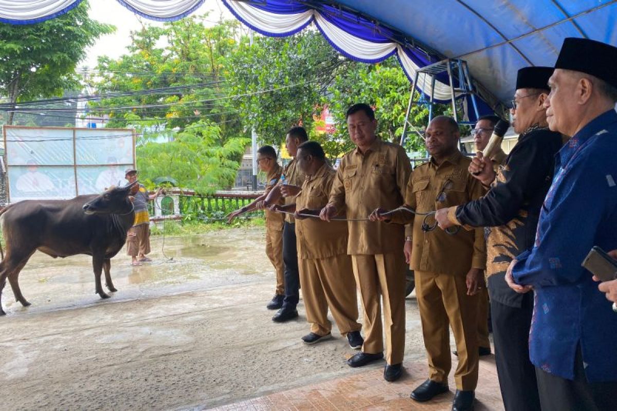 Pemkot Sorong salurkan 30 ekor hewan kurban kepada 30 masjid