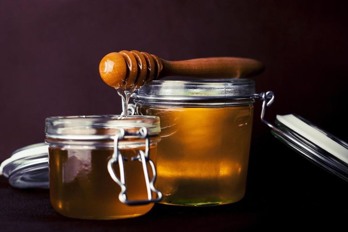 Sohoney Jr manfaatkan strategi digital gaet ibu milenial