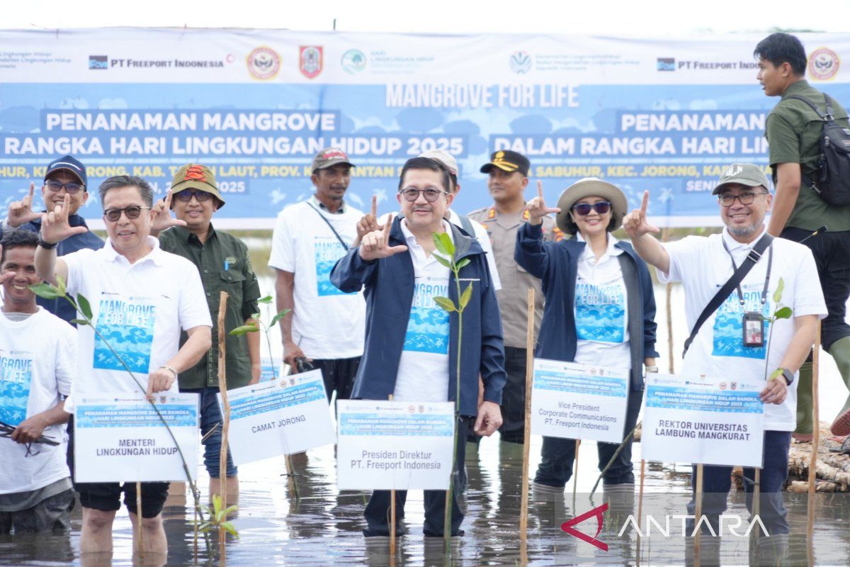 Freeport dan ULM percepat program nasional KLH rehabilitasi mangrove di Kalsel
