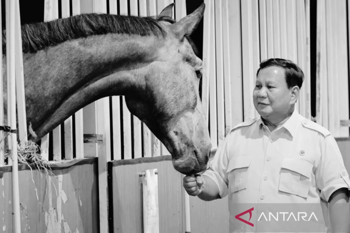 President Prabowo inspects Army's horse cavalry regiment HQ