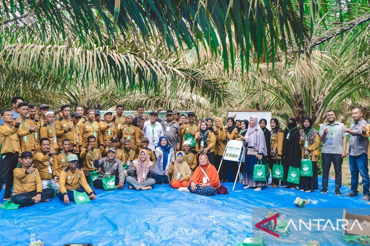 Ratusan petani mitra PTPN IV PalmCo segera kantongi sertifikasi RSPO